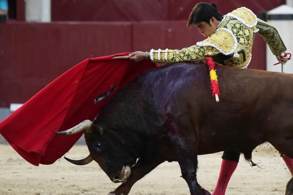 Imagen Supremo Corte estudia amparo contra las corridas de toros 'sin sangre'