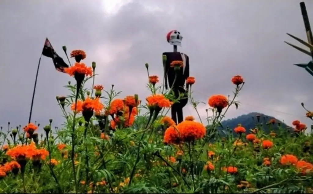 Imagen Vive en Paxtepec la tradición del Día de muertos