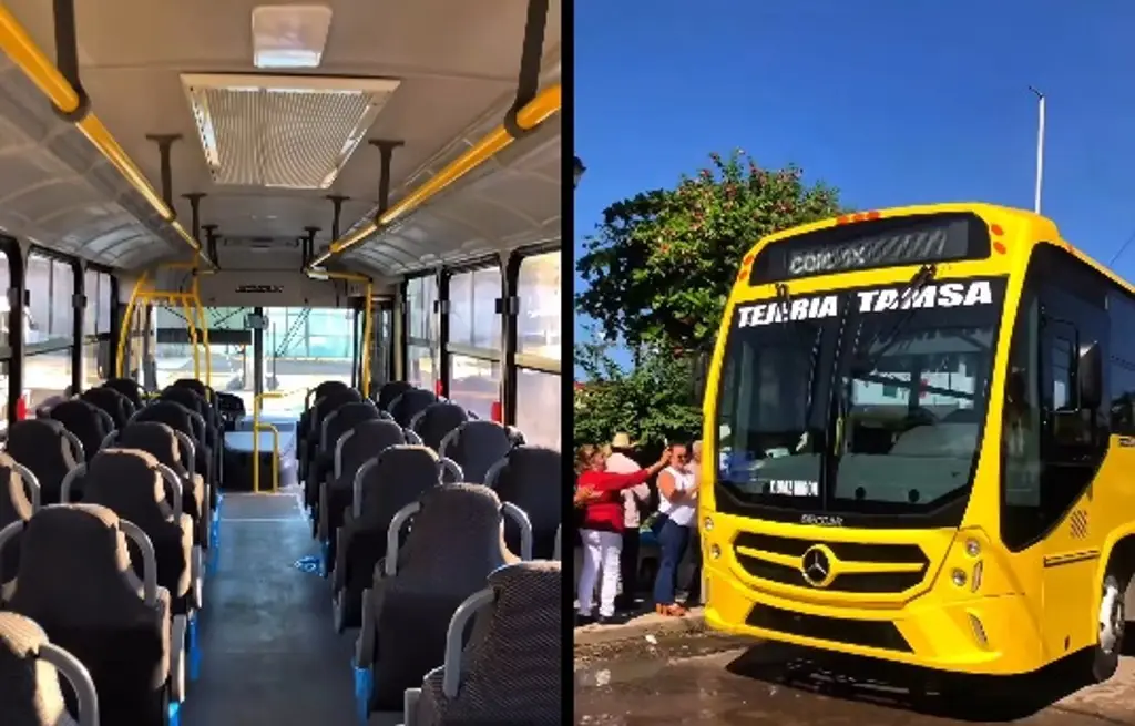 Imagen Ponen en circulación camiones con internet y aire acondicionado en Veracruz: esta es la ruta y el costo