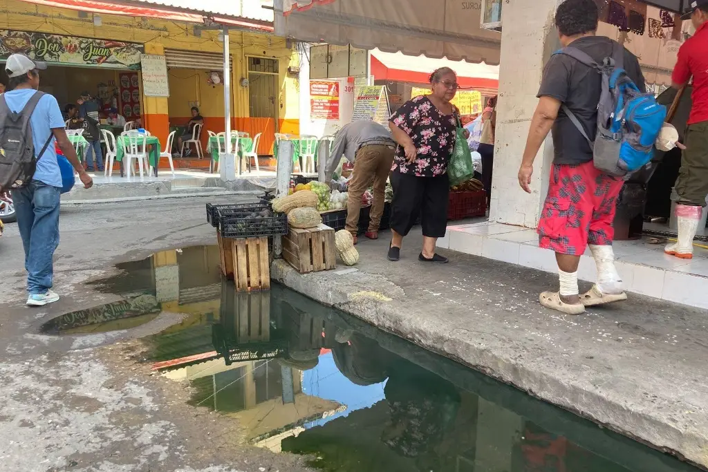 Comerciantes del Mercado Unidad Veracruzana denuncian drenaje tapado