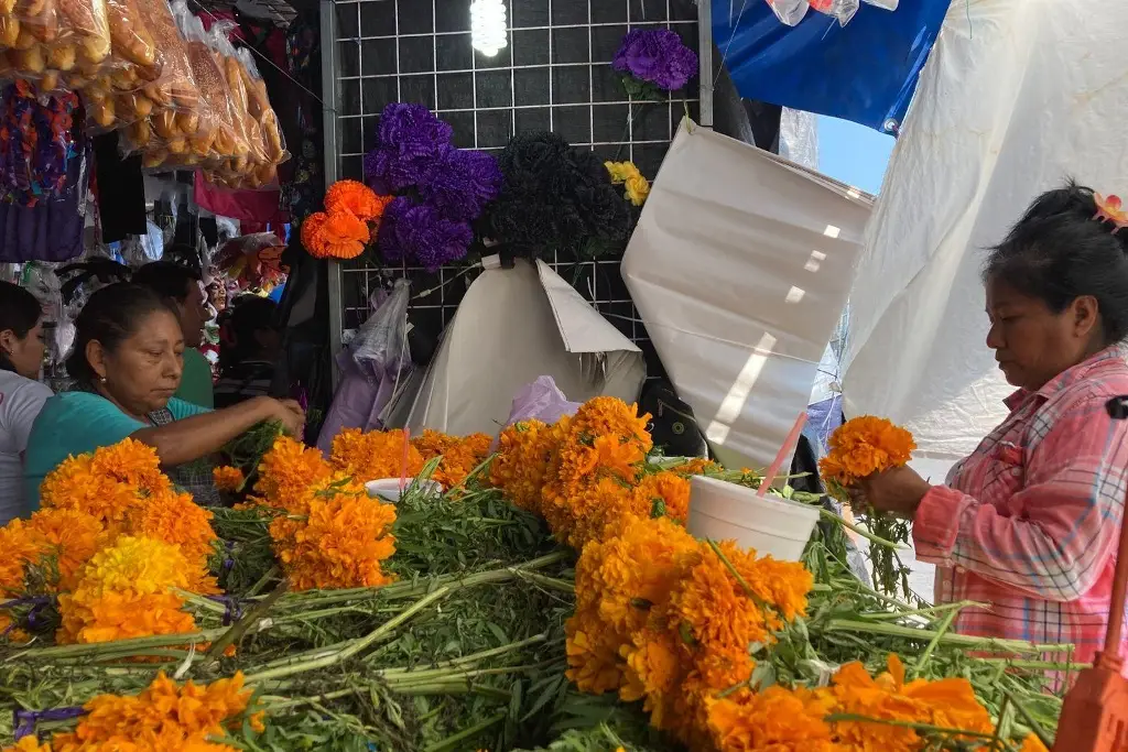 Imagen Vendedores registran aumento de precios de estos productos para altar de muertos en Veracruz
