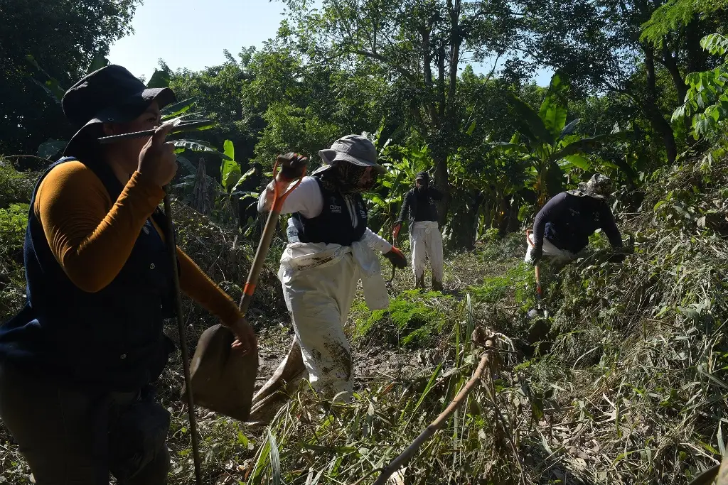 Imagen Continúa búsqueda de ocho personas no localizadas tras inundaciones en la zona norte de Veracruz