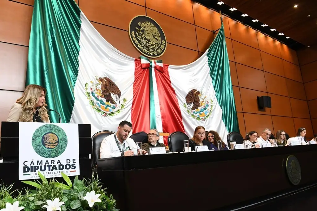 Imagen Maryjose Gamboa pide reclasificar tarifas de energía eléctrica en Boca del Río