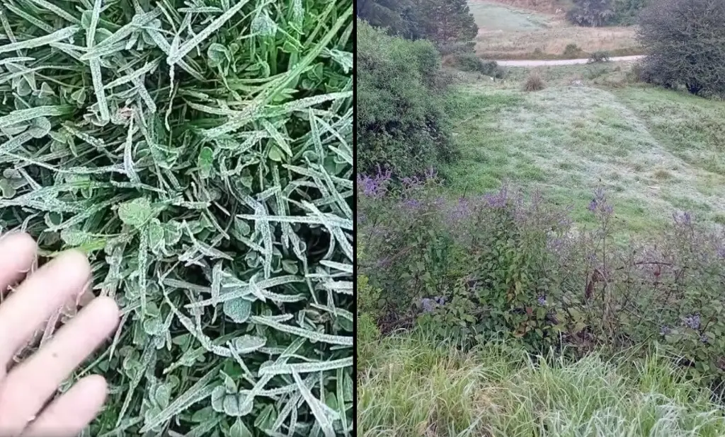 Imagen Continúan las heladas en estos municipios de Veracruz: Conagua