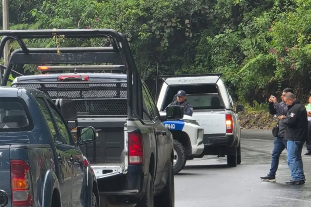 Imagen Abandonan cuerpo a orillas de la carretera federal Córdoba-Veracruz