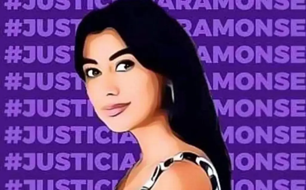 Imagen Tras varios años, Congreso de Veracruz aprueba la 'Ley Monse'