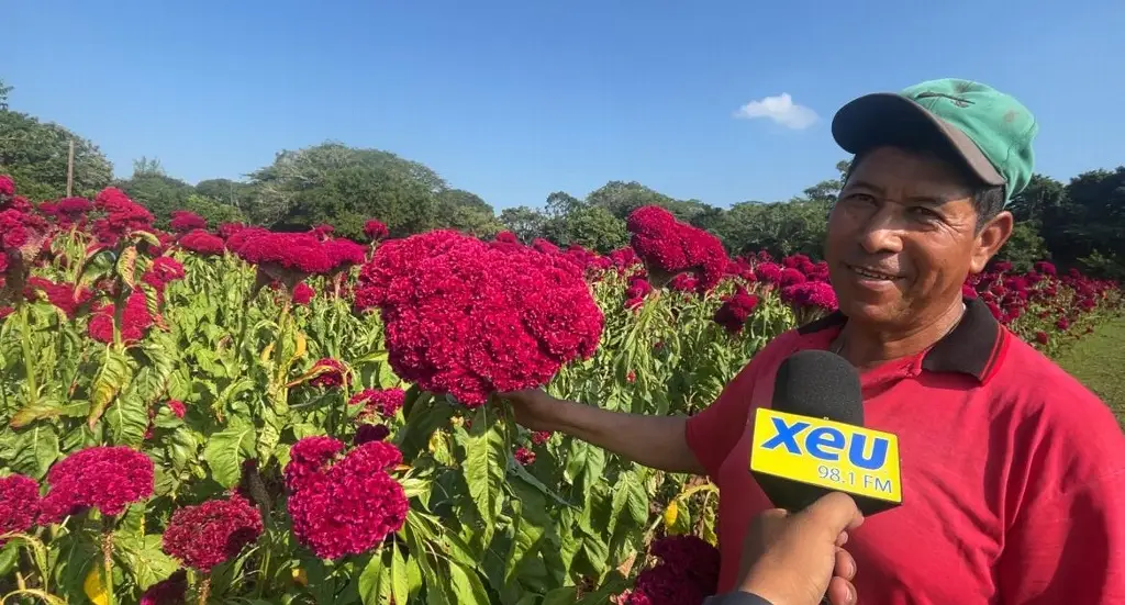 Imagen Desde los siete años aprendió a cultivar la flor de cempasúchil en Veracruz