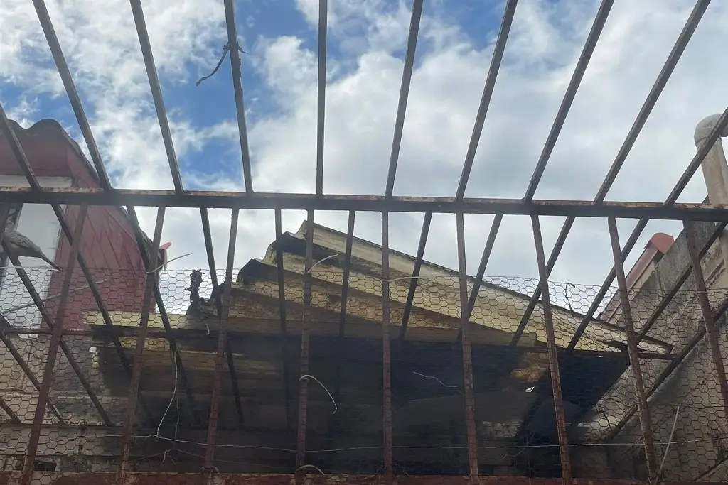 Imagen Vuelan láminas y caen árboles por fuerte viento del norte en Veracruz