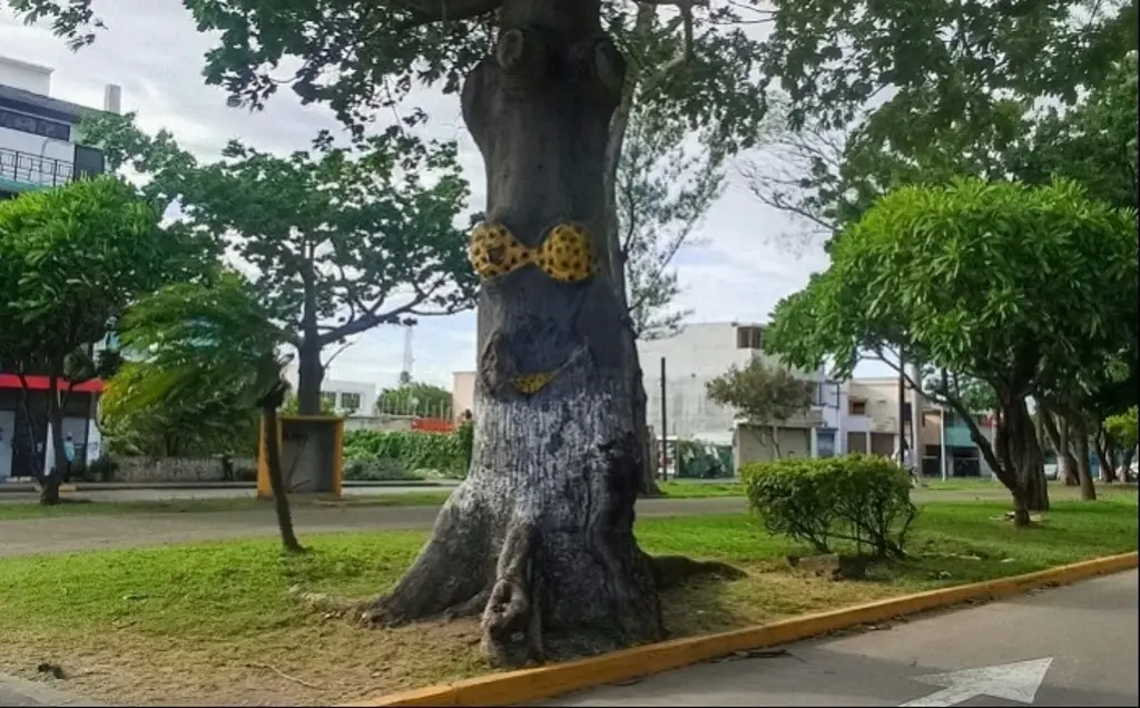 Imagen ¿Se cayó el árbol del bikini del puerto de Veracruz? Esto se sabe