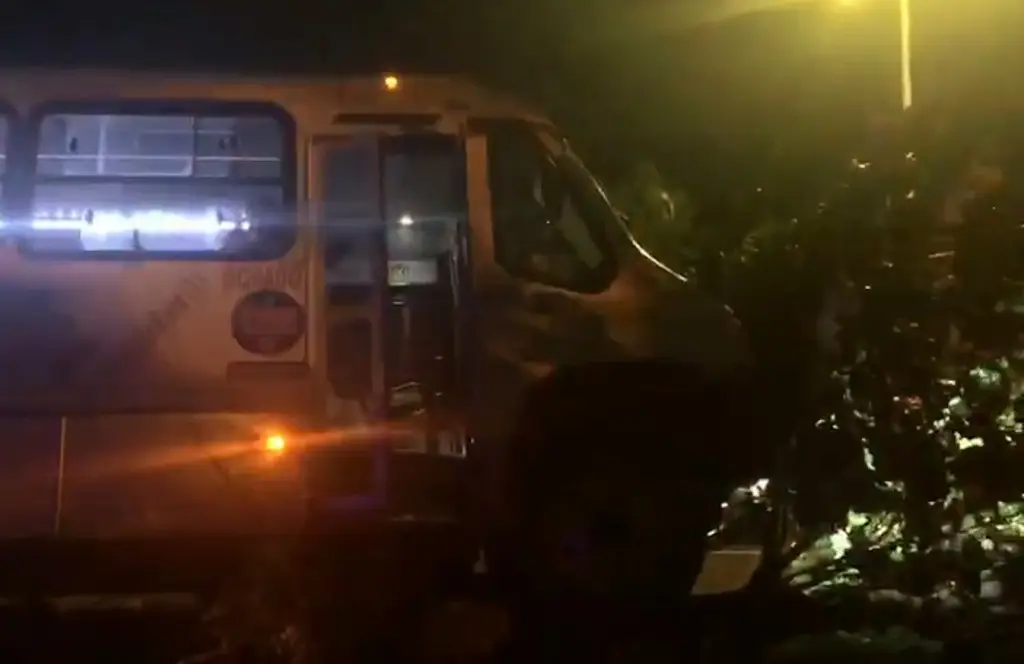 Imagen Camión urbano choca contra un árbol en la Veracruz - Xalapa