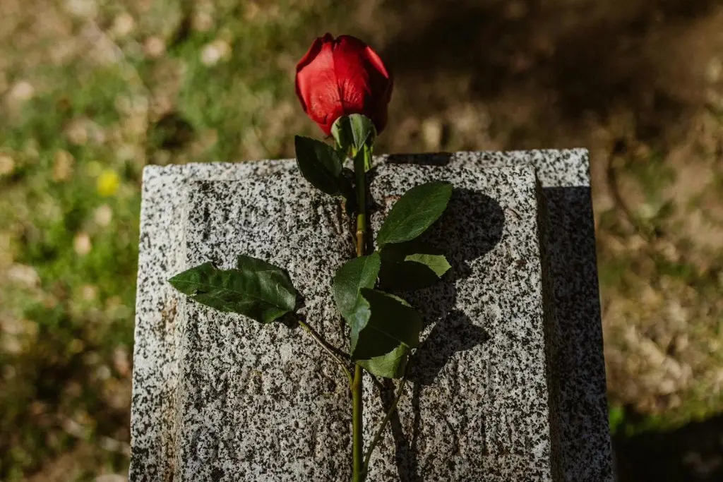 Imagen ¿Cuánto dura el proceso de duelo por la muerte de un ser querido? 