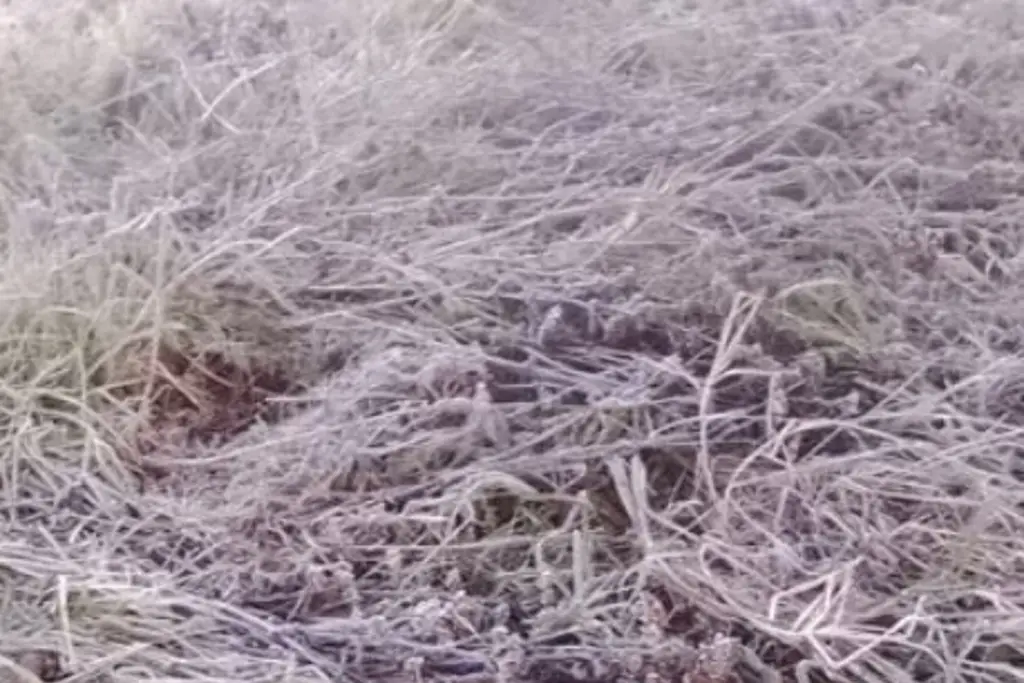 Imagen Estas son las temperaturas más bajas registradas este martes 