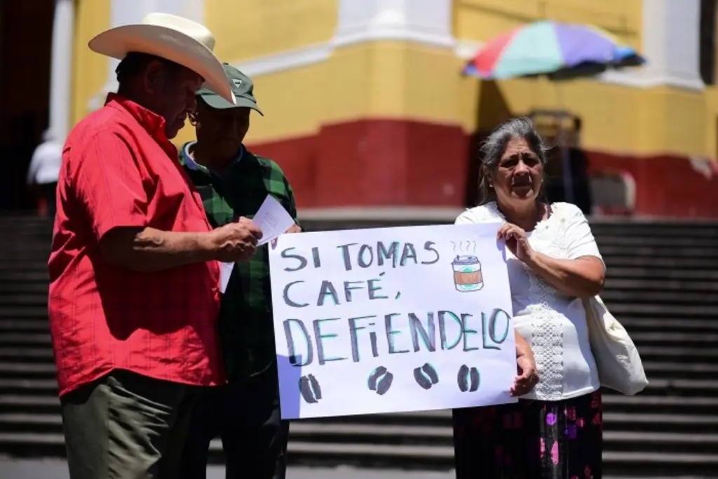 Productores de café piden frenar abuso en precios y aprobar Ley del Café