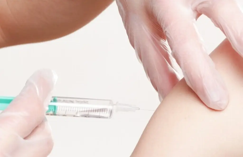 Imagen ¿Dónde ponen la vacuna contra la Influenza en Veracruz?