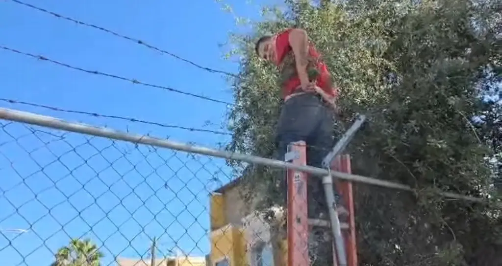 Imagen Presunto ladrón quedó atorado 'de los calzones' en Nuevo León; así ocurió