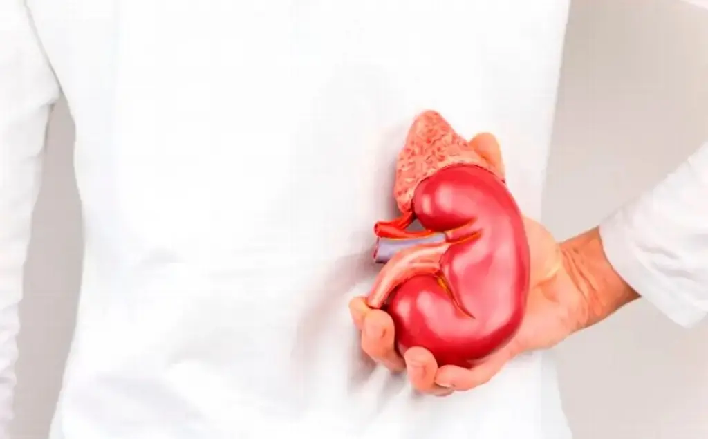 Imagen La enfermedad renal crónica es la novena causa principal de muerte en el mundo