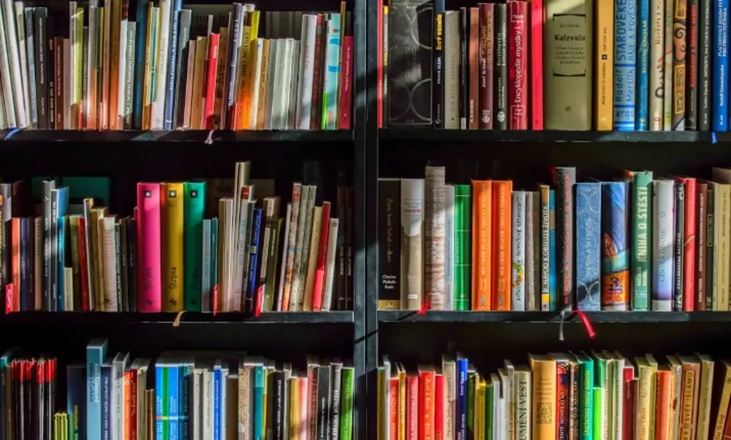 Invitan a leer 'Allá, en un pueblo llamado cuatro tumbas, una vez, una niña lechuza'