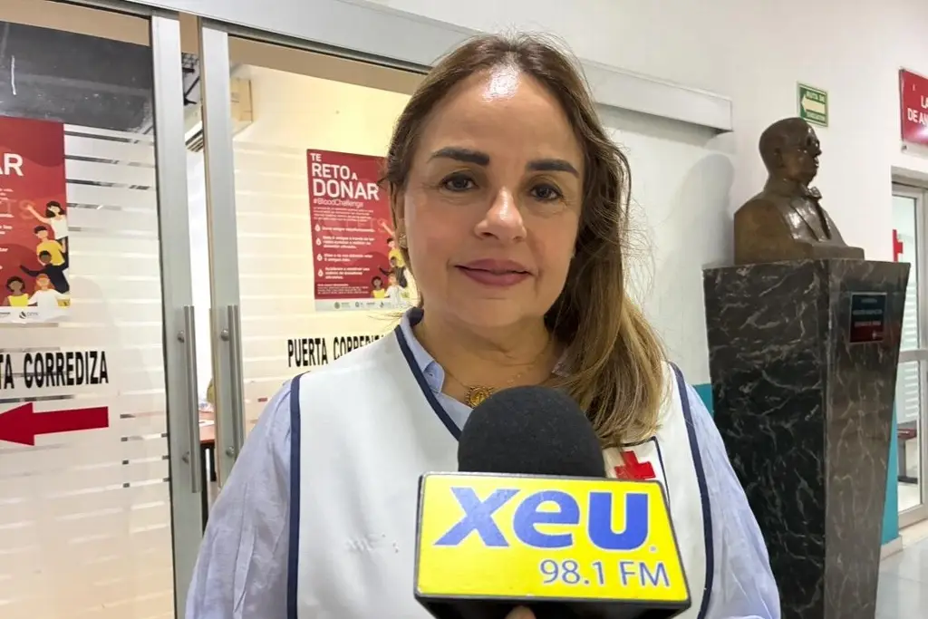 Imagen Cruz Roja brinda apoyo psicológico a afectados de zona norte de Veracruz; de esta forma pueden acceder