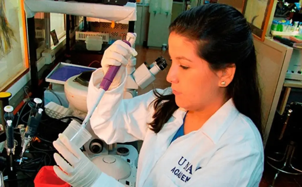 UNAM crea antiveneno contra mordedura de las serpientes más letales de África