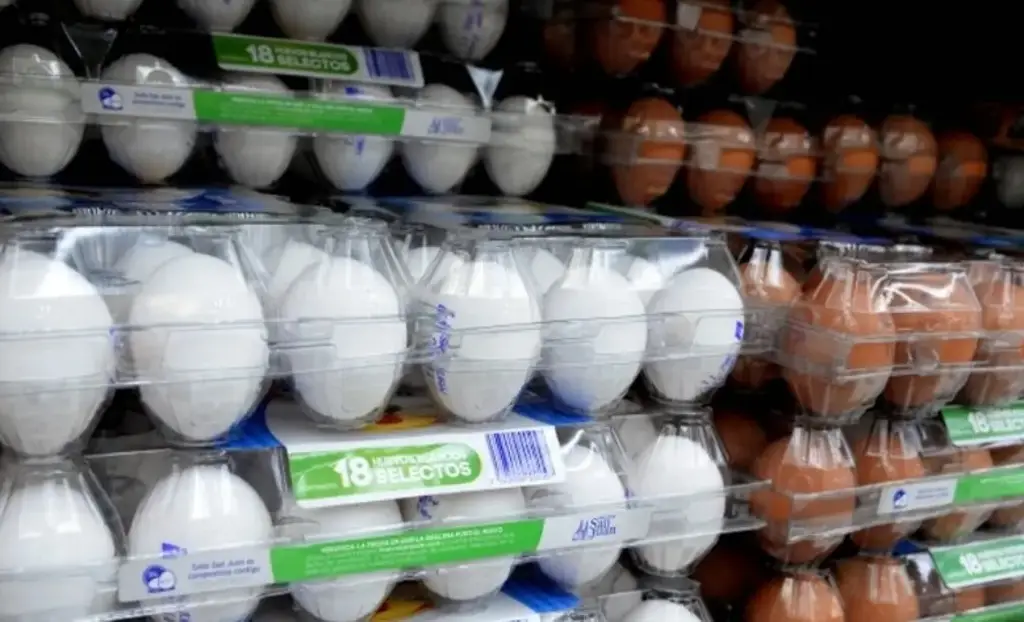 Imagen Profeco realiza operativo de verificación de precios en municipios al norte de Veracruz