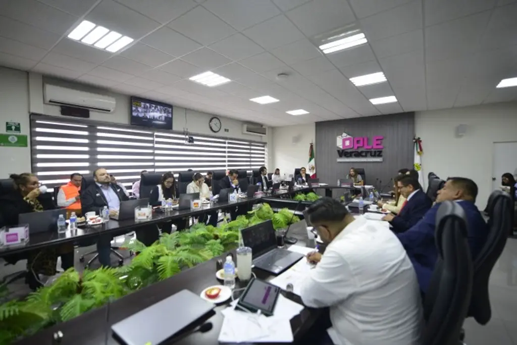 Imagen OPLE asigna regidurías en 126 municipios de Veracruz 