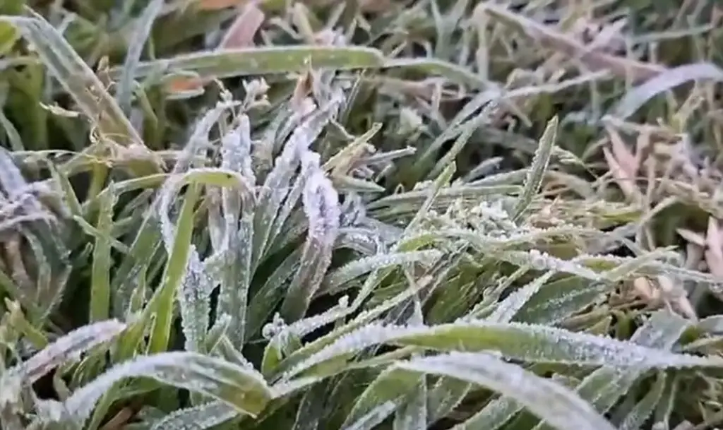 Imagen Conagua prevé heladas en Veracruz 