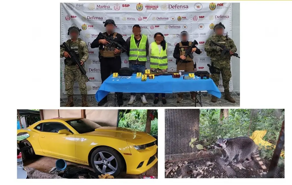 Imagen Aseguran auto de lujo y animal exótico en cateo en Huatusco; hay dos detenidos 