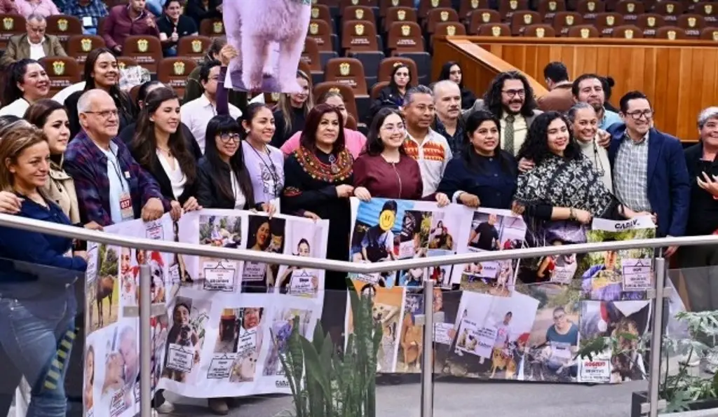 Imagen Congreso de Veracruz eleva a rango constitucional la protección a los animales