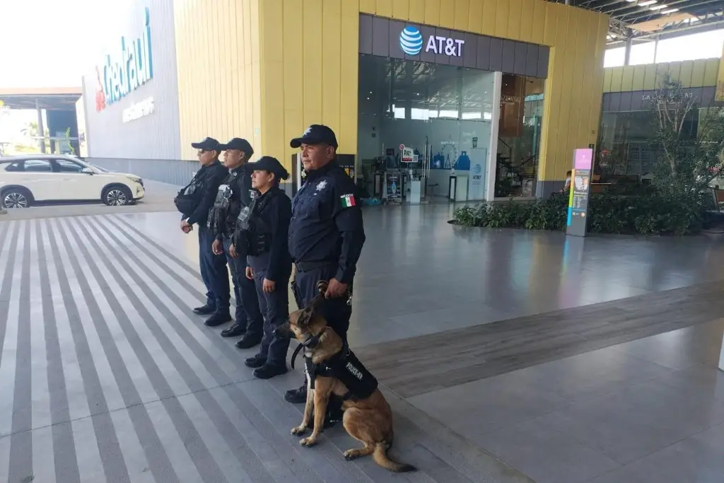 Imagen Realizan patrullajes por Buen Fin en Veracruz -Boca del Río