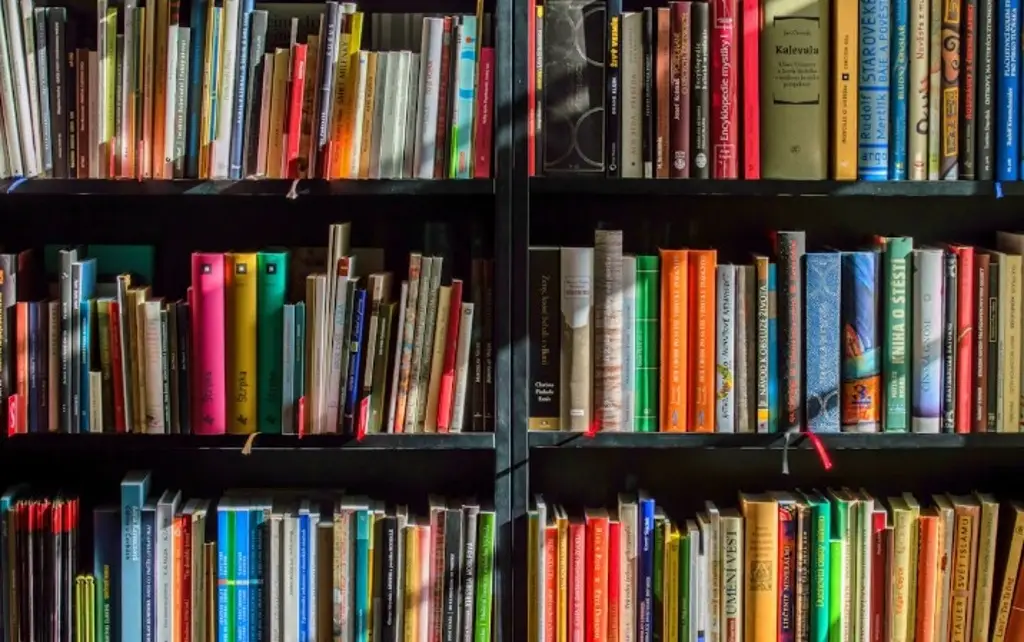 Imagen ¿Fin de semana largo? Invitan a leer 'Entre libros y editores'; de esto trata 