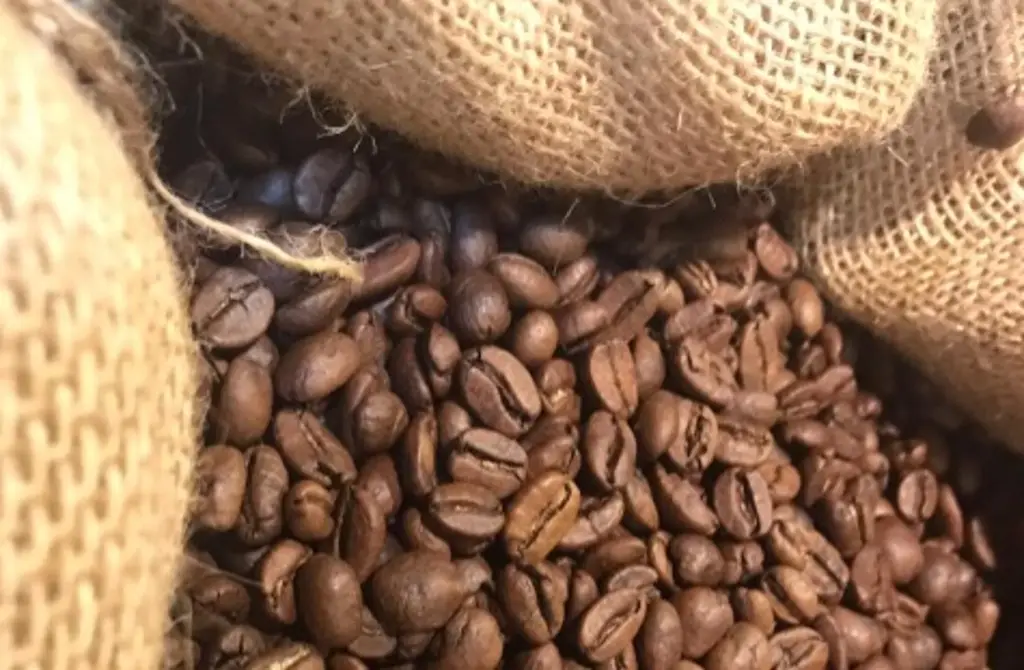 Imagen Trump reduce aranceles al café, plátano, carne de res y otros productos 