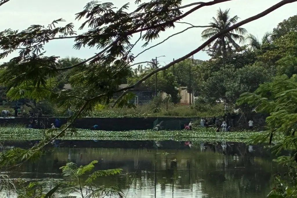 Imagen Realizan limpieza de lagunas Ensueño y La Ilusión, piden iluminación  