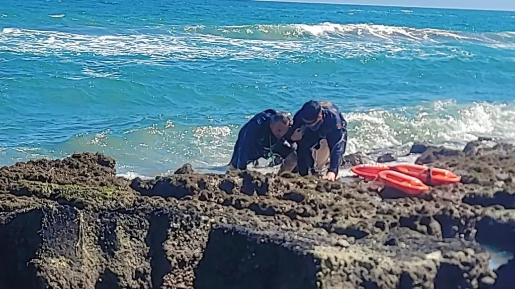 Rescatan a personas; eran arrastradas mar adentro en playa de Chachalacas, Veracruz