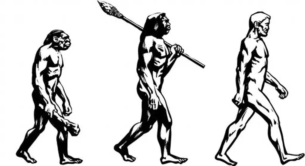 Hoy es Día de la Evolución