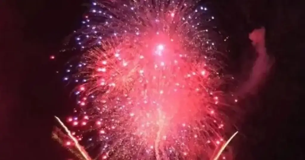 Imagen Así puedes proteger a tu mascota de la pirotecnia