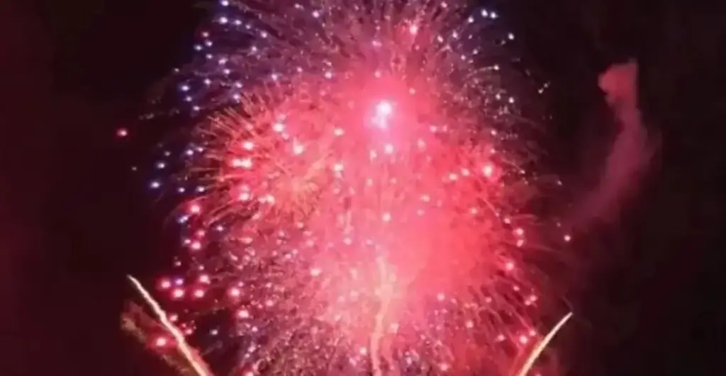 Así puedes proteger a tu mascota de la pirotecnia