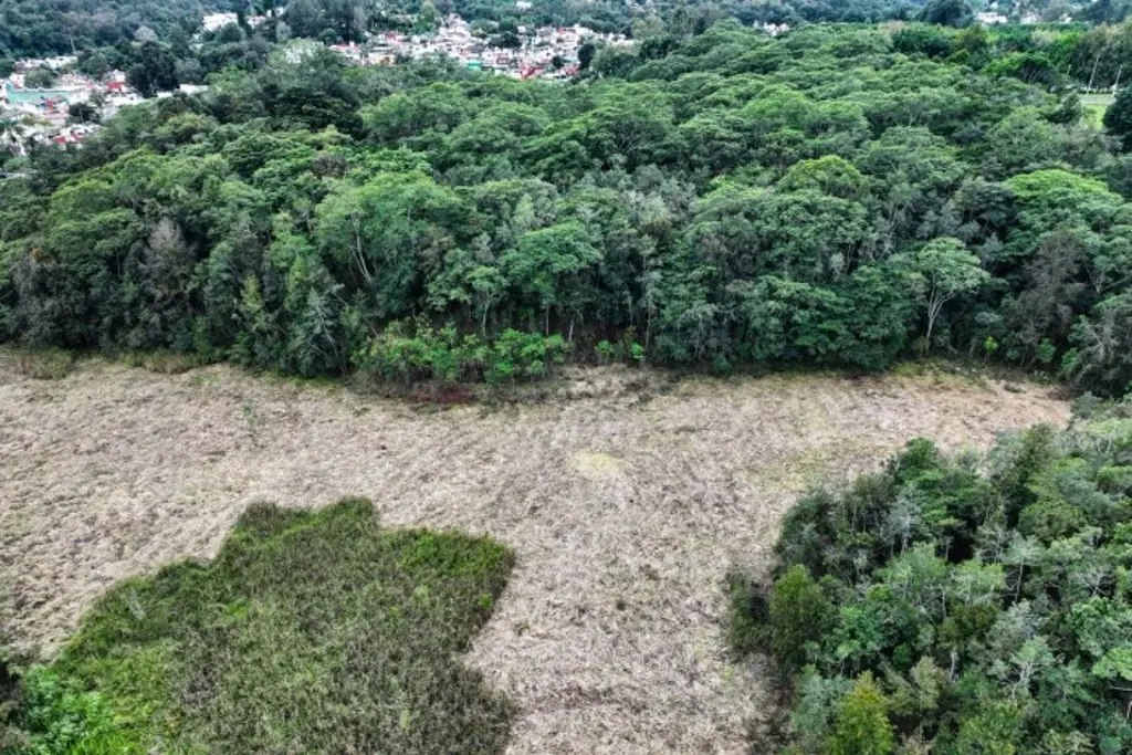 Imagen Vecinos piden inspección por trabajos en área natural protegida en Xalapa, Veracruz 