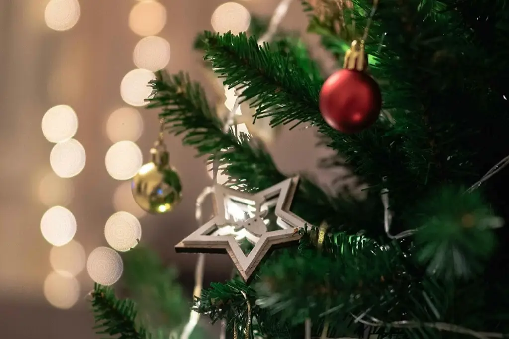 Imagen ¿Cuándo será el encendido del árbol de Navidad en Veracruz?