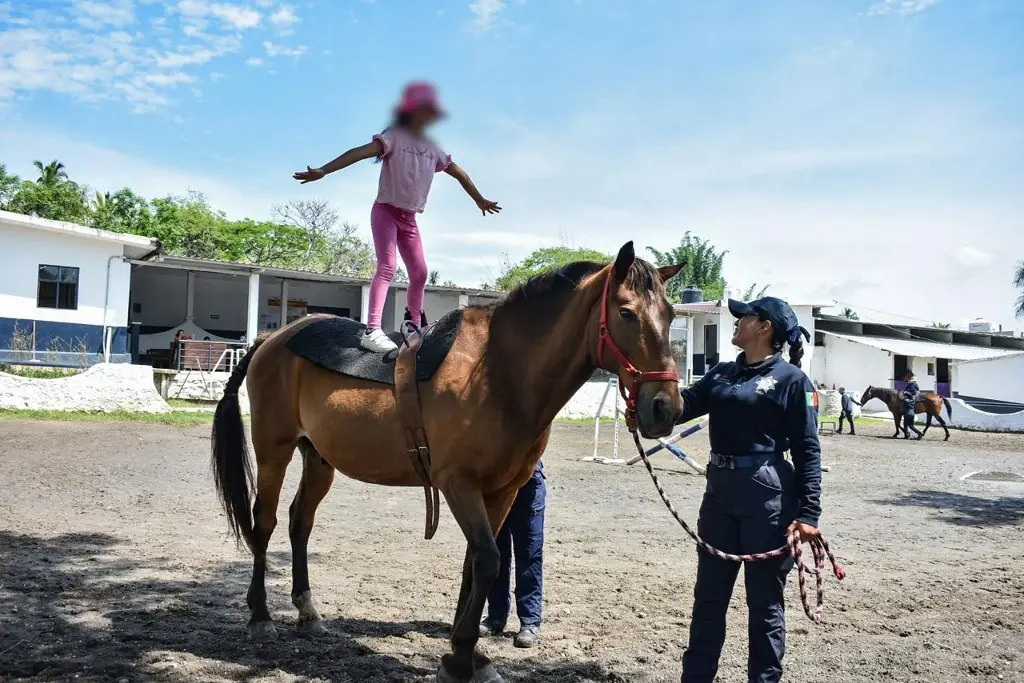 Imagen Menores reciben los beneficios de la Equinoterapia en Veracruz