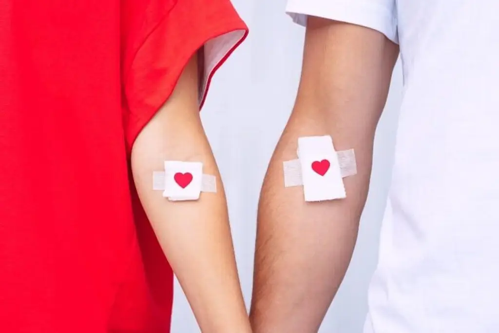 Imagen Invitan a Jornada de Donación de Sangre Altruista en Veracruz; conoce los horarios