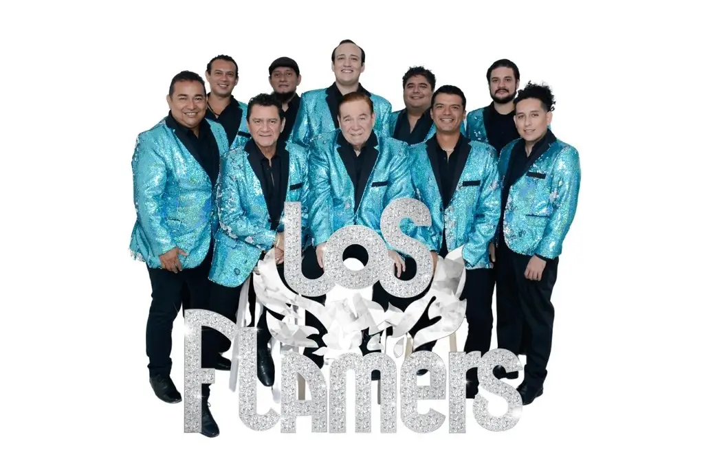 Imagen Los Flamers invitan al Bailazo Navideño en la Colonia Progreso (+video)