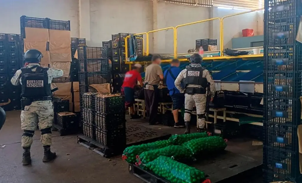 Imagen Detienen a 10 personas con armas de fuego y en posesión de drogas, en Michoacán