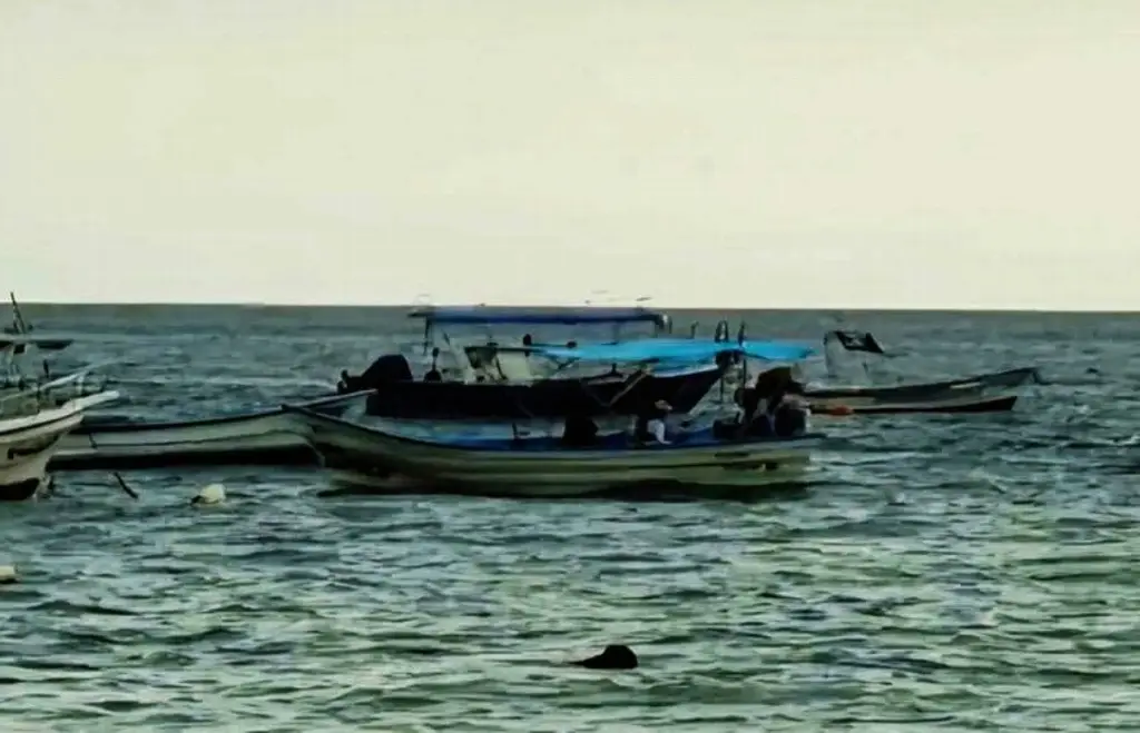 Imagen Muere turista tras choque de lancha contra una ballena en Puerto Vallarta