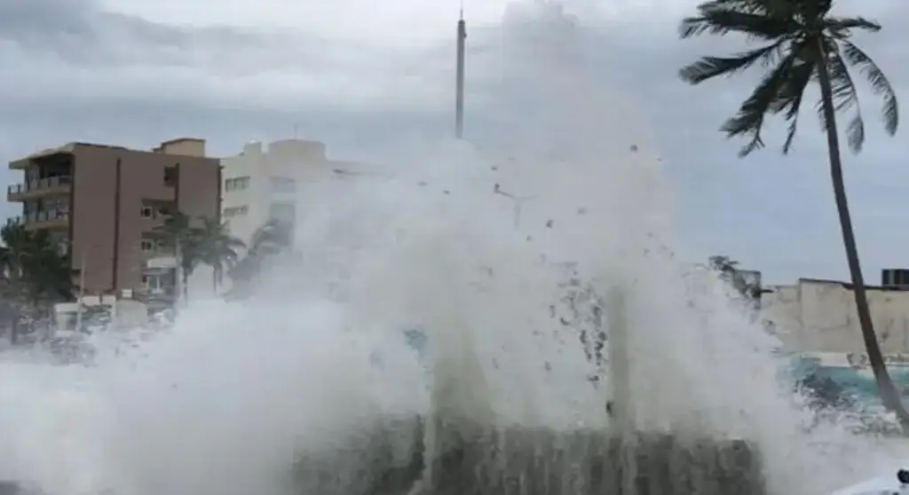 Imagen Asegurar objetos en azoteas y mantener podados los árboles para evitar afectaciones por alerta gris
