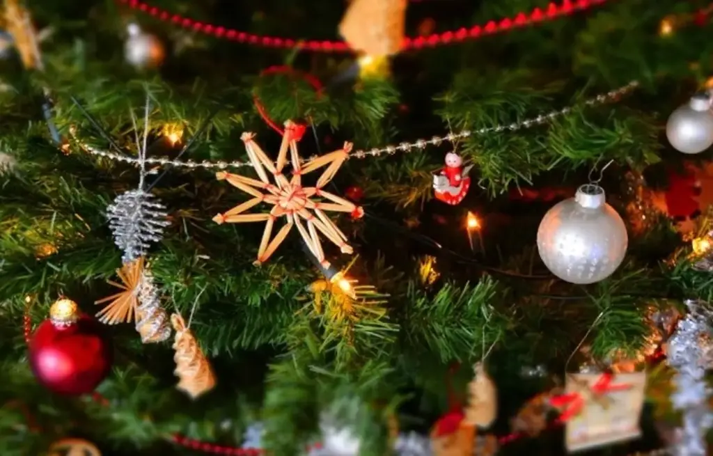 Imagen ¿A qué hora es el Desfile Navideño este domingo en Veracruz? Esto te interesa 