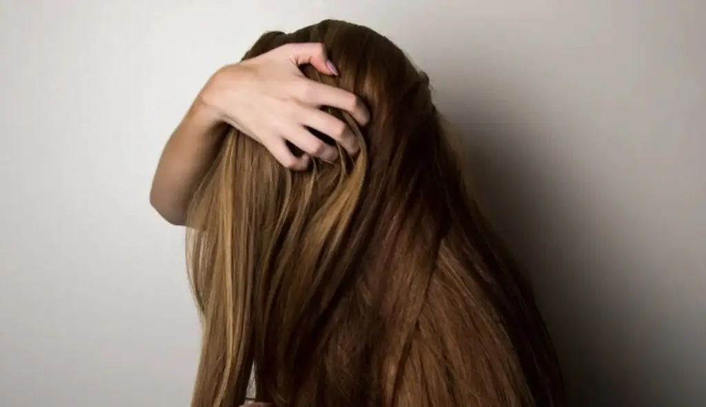 Crean una interfaz cerebro-ordenador del grosor de un cabello de alto rendimiento