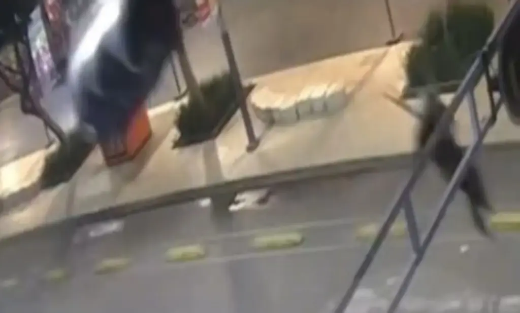 Imagen Paracaidista queda atorado en semáforo; cámaras lo captan la madrugada de este martes (+Video)