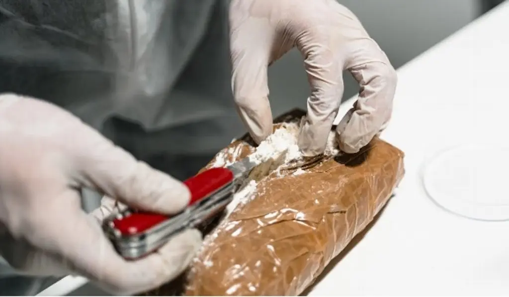 Imagen Costa Rica decomisa 400 kilos de cocaína ligados a cartel mexicano