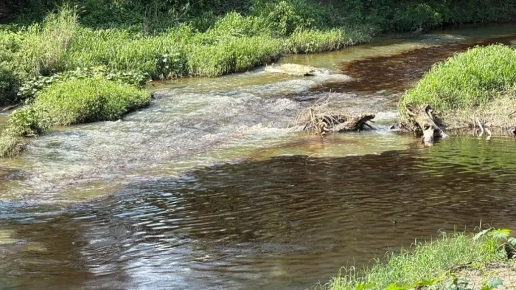Evacúan escuelas por otra fuga de hidrocarburo al norte de Veracruz 