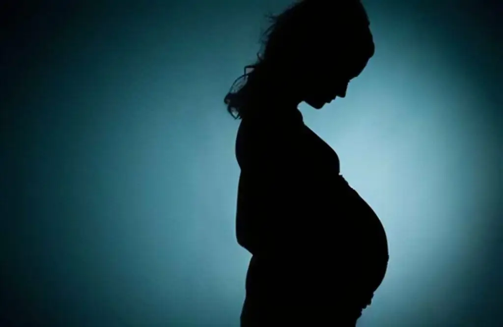 Suplemento durante la gestación podría ayudar a prevenir la obesidad